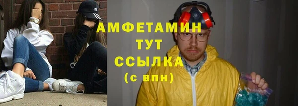 гашиш Богданович