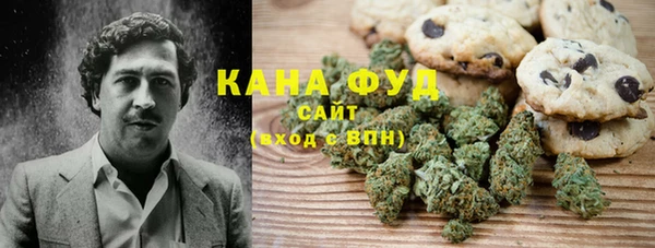 гашиш Богданович
