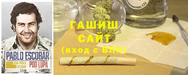 гашиш Богданович