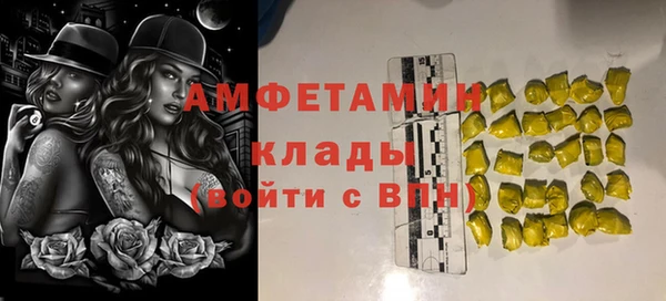 гашиш Богданович